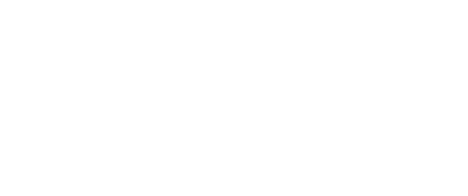 saninext